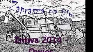 Żniwa 2014 - Owies ♦MF 507♦