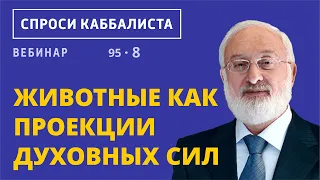 Животные как проекции духовных сил