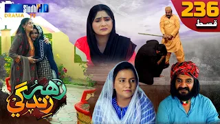 Zahar Zindagi - Ep 236 | Sindh TV Soap Serial | SindhTVHD Drama