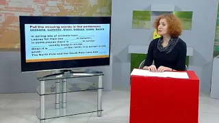 АНГЛІЙСЬКА МОВА (4 клас) 01-04-2020