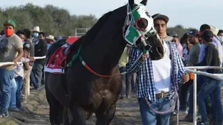 el cuervo cuadra rmrz vs la herrante cuadra garzones vs el nene cuadra strda