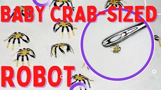 This Is the World’s Smallest Remote Controlled Robot That Looks like a Tiny Crab