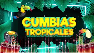 CUMBIAS TROPICALES MIX PARA BAILAR✨💃CUMBIAS TROPICAL🌴🍹TROPICAL FLORIDA,ALEX BAR,JUNIOR KLAN,EL NEGRO