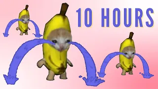 Banana Cat Crying 10 Hours