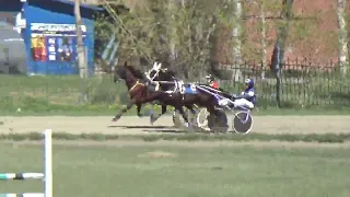 6 заезд Приз в честь работников сельского хозяйства, 13 05 2023 Новосибирский ипподром