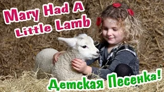 Mary had a little lamb! У Мэри был ягненочек –титры на русском!  Любимая детская песенка!