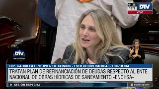 Diputada Brouwer De Koening, Gabriela - 2da Intervención - Sesión 05-07-2023