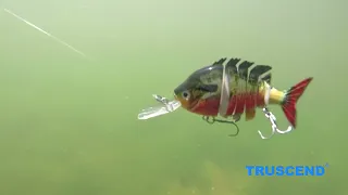 TRUSCEND Jointed Swimbait Bionic Tilapia Fishing Lure