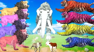 5 Zombie Lions vs 5 Zombie Tigers Epic Battle Woolly Mammoth Save Cow Cartoon Battle Stories Animal