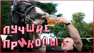 Лучшие приколы 2018 года(часть 1).Смотреть всем!