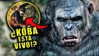 ¿Koba Esta Vivo? REVELADO | El Planeta de los Simios EXPLICADO
