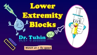 Lower Extremity Blocks | Lower limb block Anaesthesia | FNB | LFCN | PENG | FICB | ONB | Ultrasound