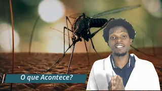 O que Acontece Após a Picada de Mosquito na Malária 3D