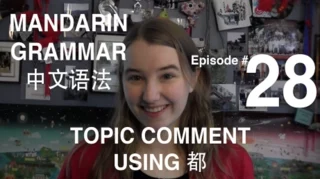 Mandarin Grammar #28: Topic Comment Using 都