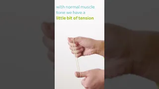 Muscle tone explained with a rubber band!