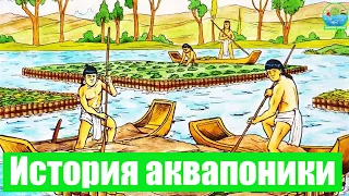 История аквапоники/Аквапоника тарихы #Аквапоника