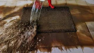 Flooded - dirtiest carpet cleaning satisfying rug cleaning ASMR