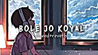 BOLE JO KOYAL BAAGO MEIN ll (slowed+reverb) lofi song ll @aniket_patel04