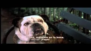 Little Nicky (2000): Trailer Oficial (Subtitulos Español)