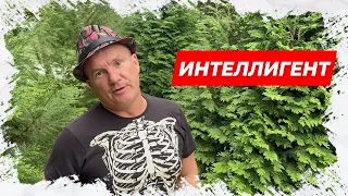 ⚡Интеллигент! Comedy анекдот! Анекдот для Вас!⚡