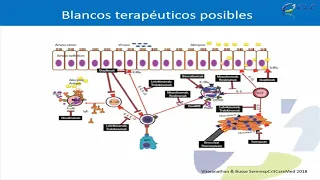 II Simposio - 12  Terapia biológica en asma severa, mecanismos de acción   Dra  Macarena Lagos