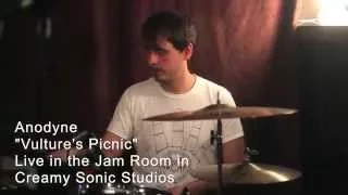 Live In The Jam Room with Anodyne - "Vulture's Picnic"