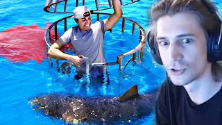 xQc Reacts to Shark Attack Test- Human Blood vs. Fish Blood | Mark Rober | xQcOW