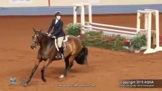 A Judge's Perspective: 2015 AQHYA Equitation Over Fences World Champion