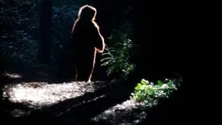 The City Exposed: Bigfoot Sighting San Francisco Style