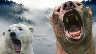 Largest Extinct Bear VS Living Bears