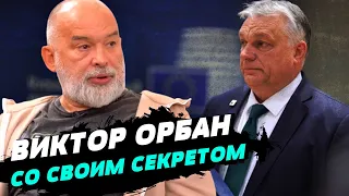 Орбан политик-популист: ему важно общественное мнение — Шейтельман