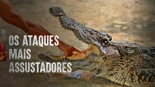 É assim que se sobrevive aos ataques mais mortais de crocodilos