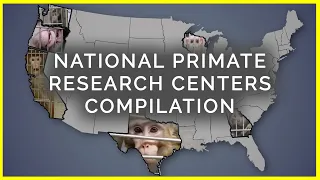 National Primate Research Centers: Taxpayer-Funded Pain and Misery