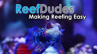 Its all about Making Reefing Easy! ReefDudes saltwater Reef tank build, setup, how to and DIY