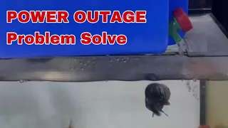 Fancy Goldfish Power Outage Problem 😤