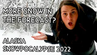 Alaska SNOWPOCALYPSE 2022| Bass Pro Santa & Mini-Costco Haul Before MORE Snow!