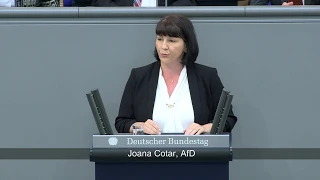 Generalaussprache zur Regierungspolitik - Joana Cotar (AfD)