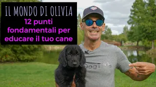 12 punti fondamentali per educare il tuo cane, Il mondo di Olivia