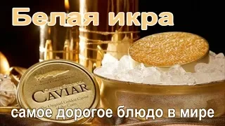 Белая икра - самое дорогое блюдо в мире.