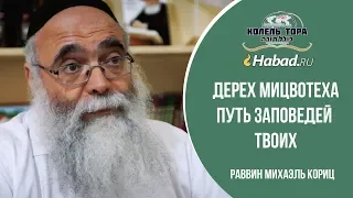 О внутреннем, мистическом смысле заповеди “Плодитесь и размножайтесь…” Урок 1, Колель Тора