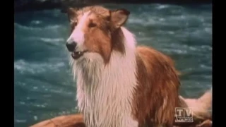 Ranger Cory Lassie (Season 12 Eps.9 Lassie Time of Peril)