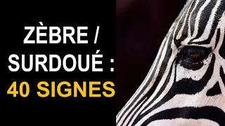 Zèbre / surdoué : 40 caractéristiques