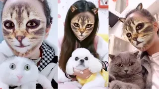 Cat and Dog Reaction to Cat Filter Funny Cats & Dogs with Cat Filter||Crazy TikTok Dogs