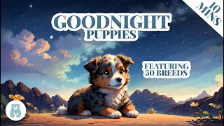 Goodnight Puppies : A Calm and Relaxing Bedtime Video for Babies, and Toddlers, and Kids