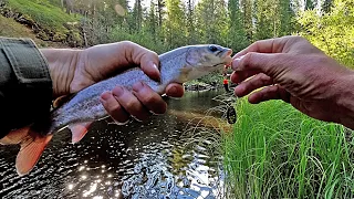 Рыбалка на таежной реке/Хариусы/Ленок/Поход