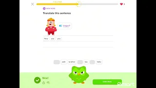 Never get duolingo