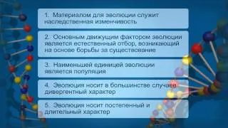 Синтетическая теория эволюции Дарвина