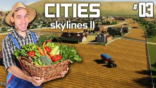 GRANJAS DE POLLOS, MADERA, ZANAHORIAS, TRIGO Y PARADAS DEL BUS ! CITIES SKYLINES 2 | Parte 3