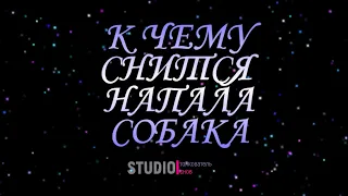 ТОЛКОВАТЕЛЬ СНОВ ~ НАПАЛА СОБАКА ВО СНЕ, К ЧЕМУ СНИТСЯ