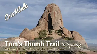 Tom's Thumb Trail | Beautiful Spring Hike | McDowell Sonoran Preserve | Scottsdale, Arizona